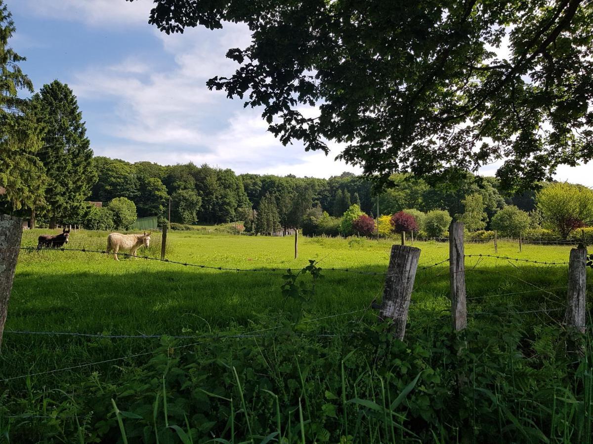 Gite En Lisiere De Foret Andaine Perrou Εξωτερικό φωτογραφία