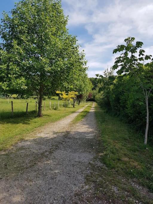 Gite En Lisiere De Foret Andaine Perrou Εξωτερικό φωτογραφία